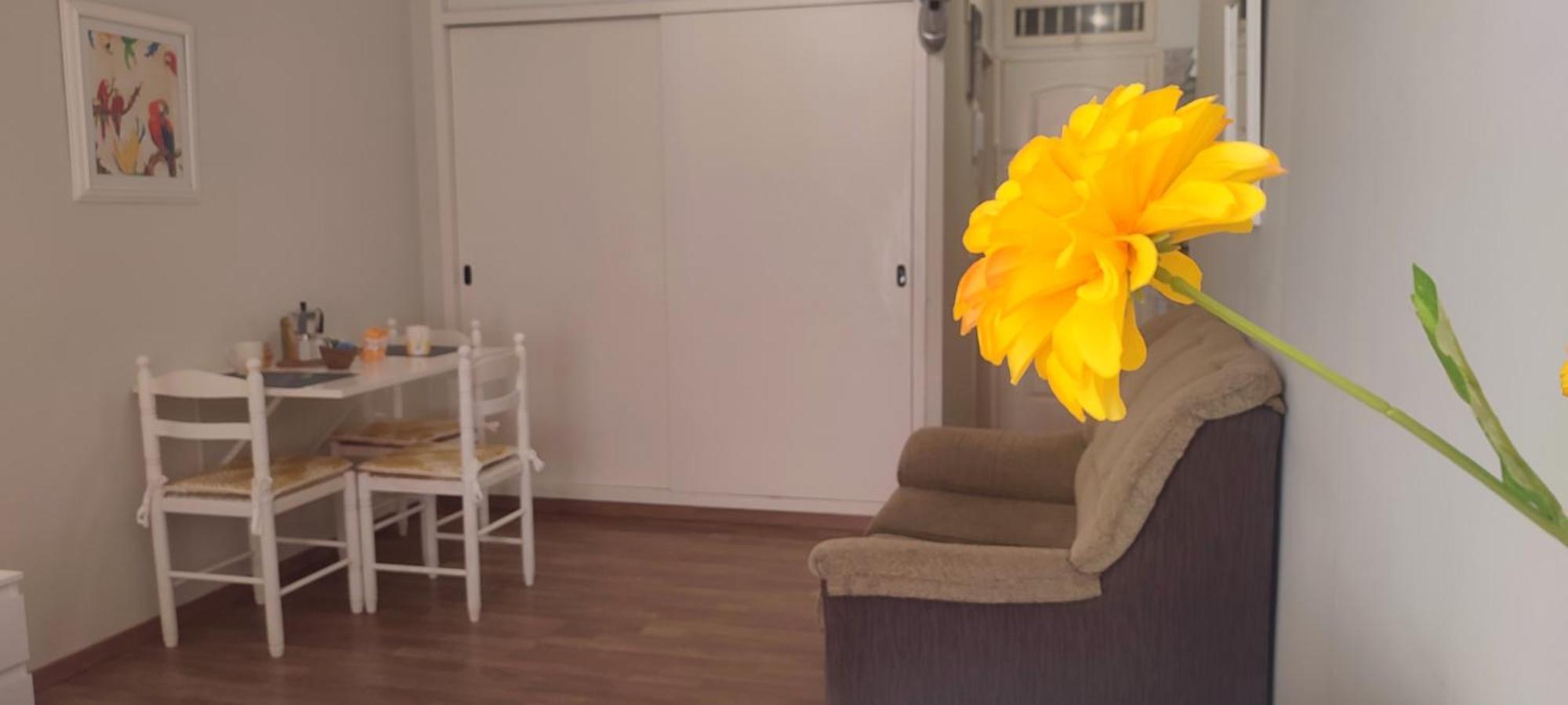 Brisa Del Sol Appartement Puerto de la Cruz  Buitenkant foto